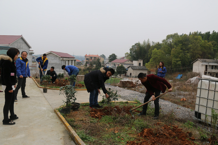 益婁14標學雷鋒義務(wù)植樹活動