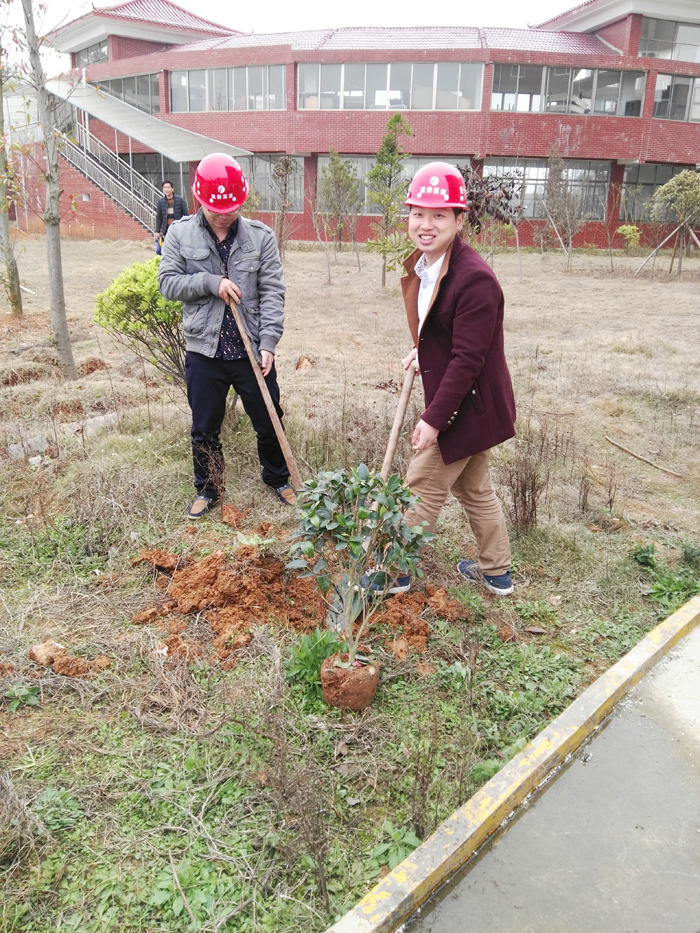 種一棵小樹，綠一方凈土